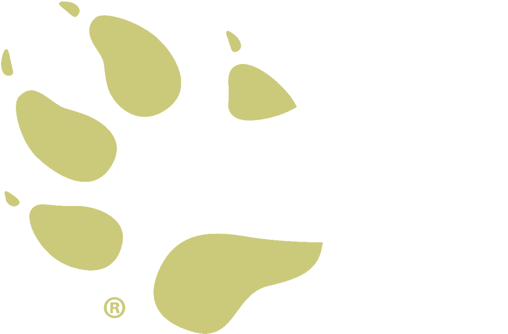 camp wolf track logo 3